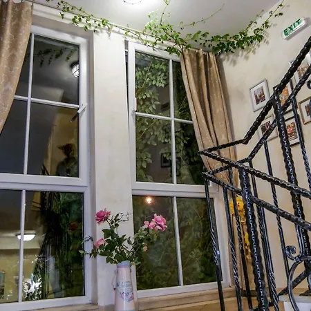 Отель The Step Family